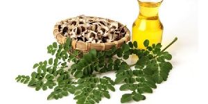 Moringa Seed Oil