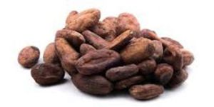 Roasted Cocoa Beans