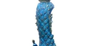 Attractive Peacock Column