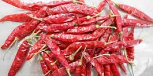 Indian Dry Red Chilli