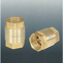 Forged Brass Non Return Valve