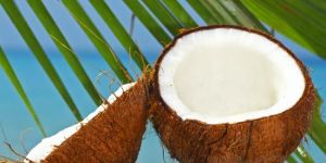 Coconut