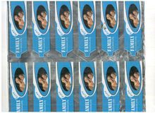 Multi Track Packaging Machine