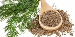 Cumin Seed