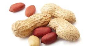 Peanut