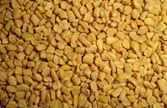 Fenugreek Seeds