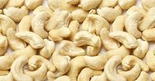 Cashews Kernels