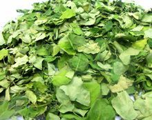 Moringa Leaves