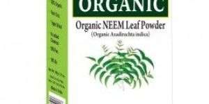 Organic Neem Powder