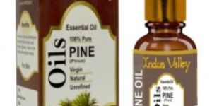 Pine Essential Oil