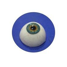 Disposable Artificial Eyes