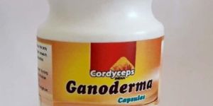 Ganoderma Capsule