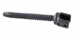 Spinal Implants