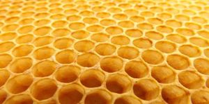 Honeycomb Making Adhesives
