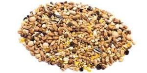 ANIMAL AND BIRD FEED