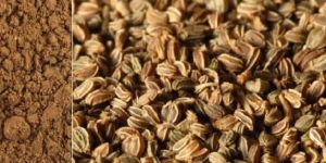 Celery Seeds and Powder