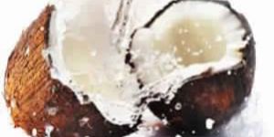 Fresh Indian Coconut