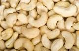 Cashew Nuts