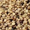 Guar Gum