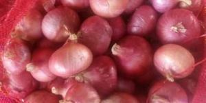 Natural Red Onion