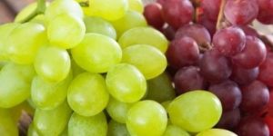 Grapes