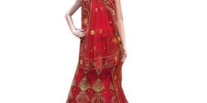 Embroidered Lehenga Choli