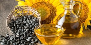 Sunflower Oil