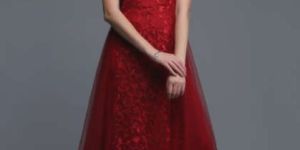 Ladies Party Wear Gowns