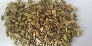 Elaichi Chilka (Husk)