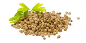 Coriander Seeds