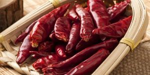 Dry Red Chilli