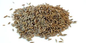 Cumin Seeds (Jeera)