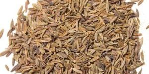 High Quality Cumin Seed
