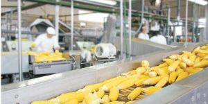 INDO-AIR Vacuum pump