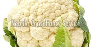 Cauliflower