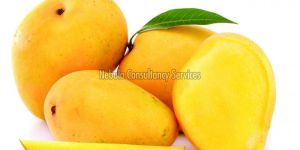 Fresh Alphonso Mango