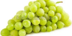 Fresh Natural Grapes