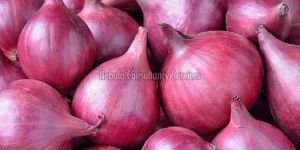 Fresh Natural Onion