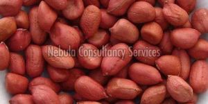 Organic Groundnut Kernels