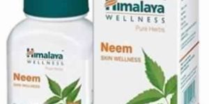 Himalaya Wellness Pure Herbs Neem Skin Wellness Tablet