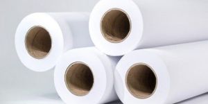 Plotter Paper Rolls