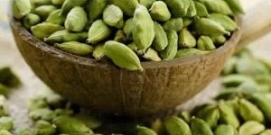Cardamom