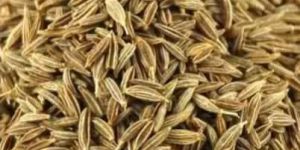 Cumin Seeds