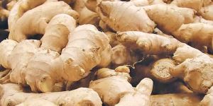 Ginger