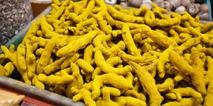 Turmeric