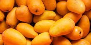 Yellow Mango