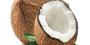 Semi Husked Coconuts