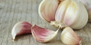 Fresh Organic Garlic