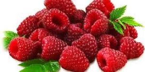 Fresh Raspberry