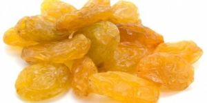 Golden Raisin